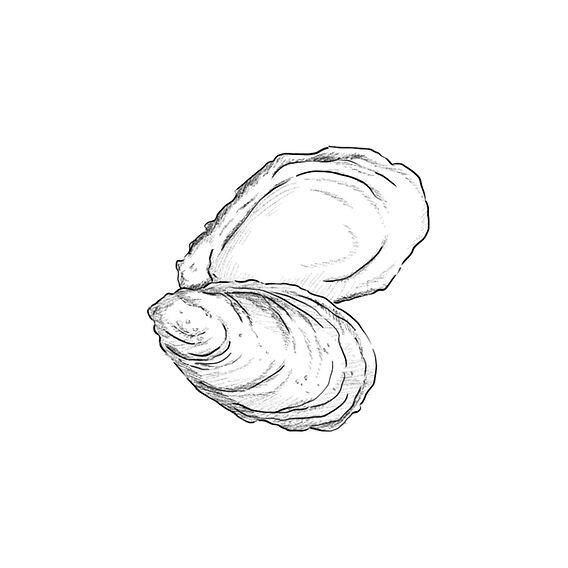 Illustration by Sky Costello-Ross