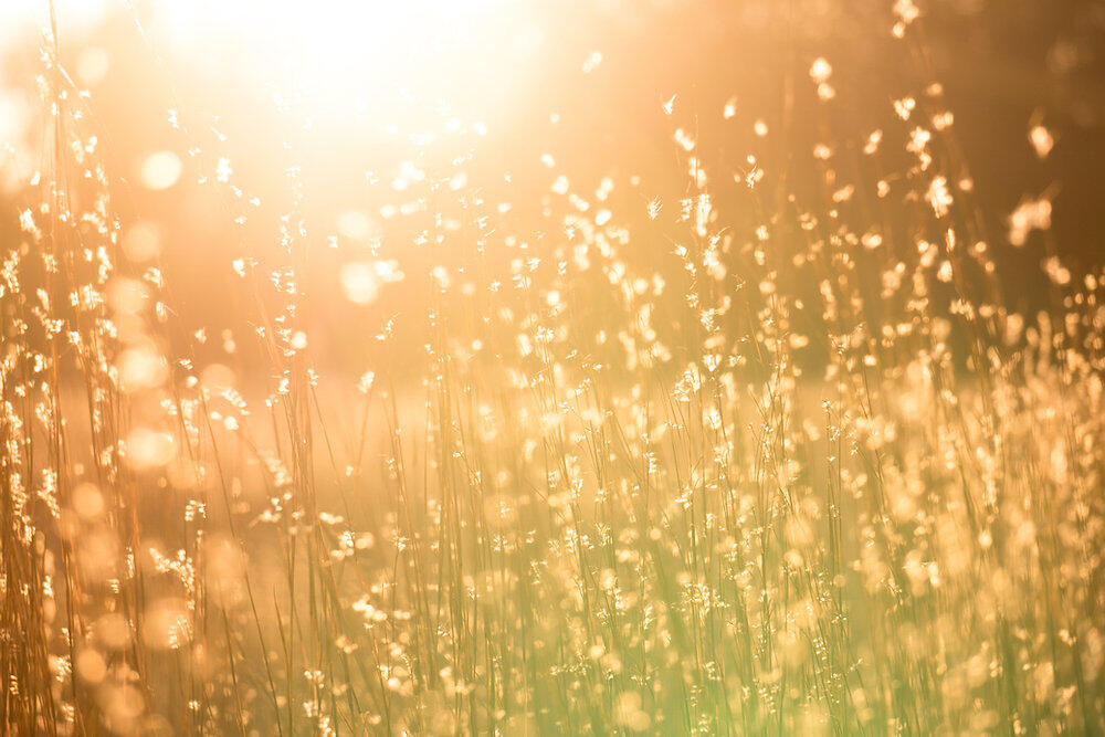 The Unspoken, by Caitlin Wright